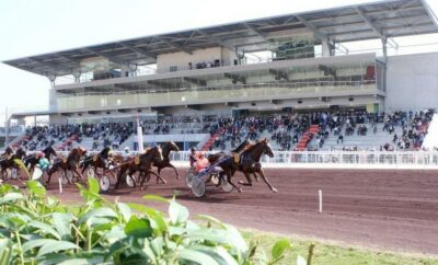 La Société des Courses Lyonnaises choisit Immotic pour la gestion vidéo des faux départs