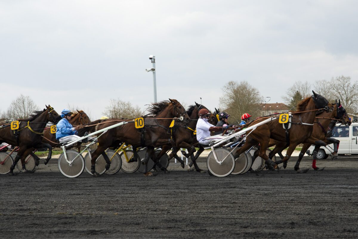 L&rsquo;hippodrome de Châtillon-sur-Chalaronne choisit Startrot