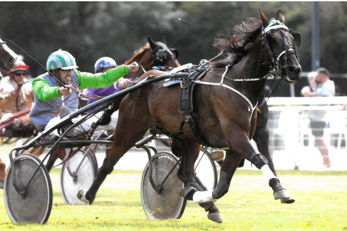 Startrot, sponsor des courses de l&rsquo;hippodrome d&rsquo;Aix-les-Bains