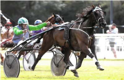 Startrot, sponsor des courses de l&rsquo;hippodrome d&rsquo;Aix-les-Bains